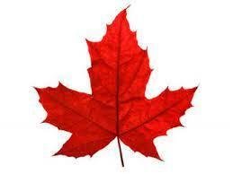 Red Maple Leaf